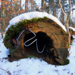 Out of the Woods-rreeaallllyy
