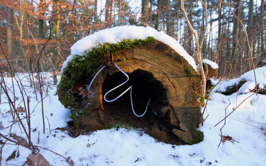 Out of the Woods-rreeaallllyy